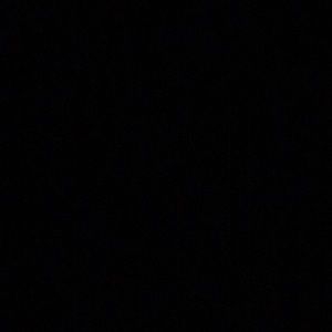 Meet your Posher, Daysha